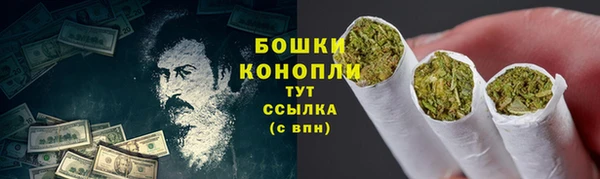 сатива Мегион