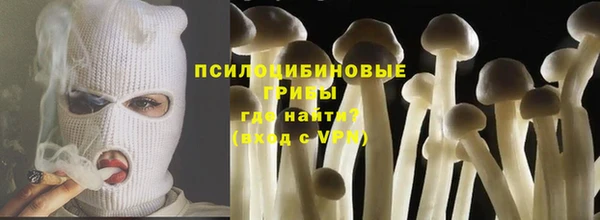 стафф Алексеевка