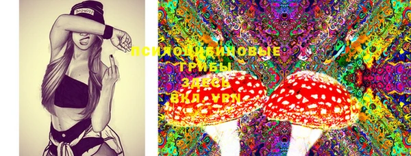 стафф Алексеевка
